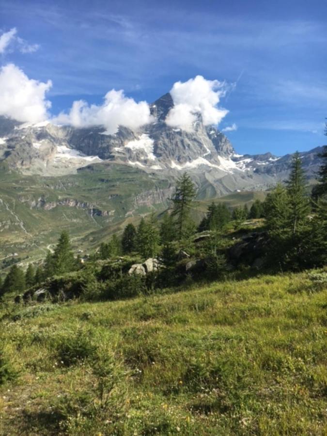 Casa Cervinia Circus Apartment Breuil-Cervinia Luaran gambar